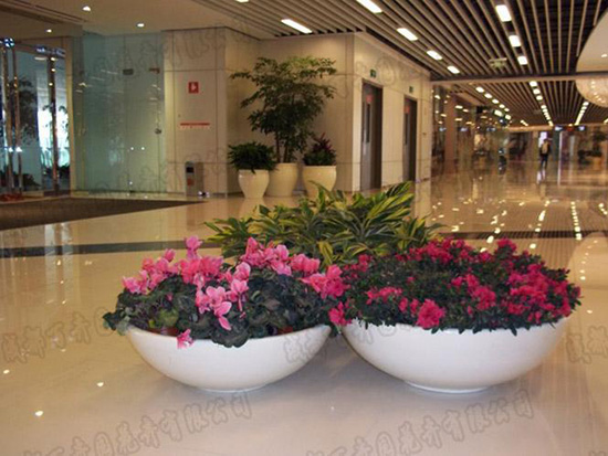 花卉景觀組合 