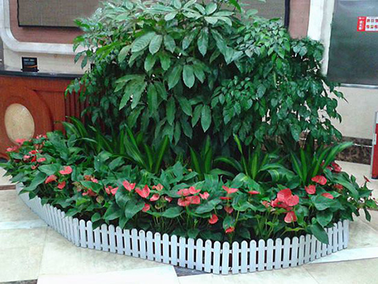 花卉景觀組合 